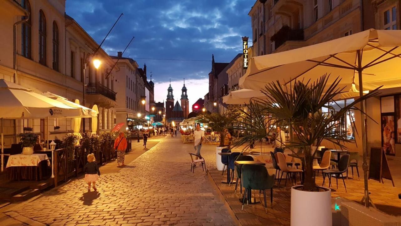 Parkowy Antresola Apartment Gniezno
